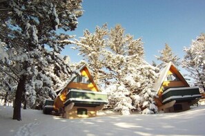 Snow and ski sports - Douglas Fir Resort and Chalets (Banff)