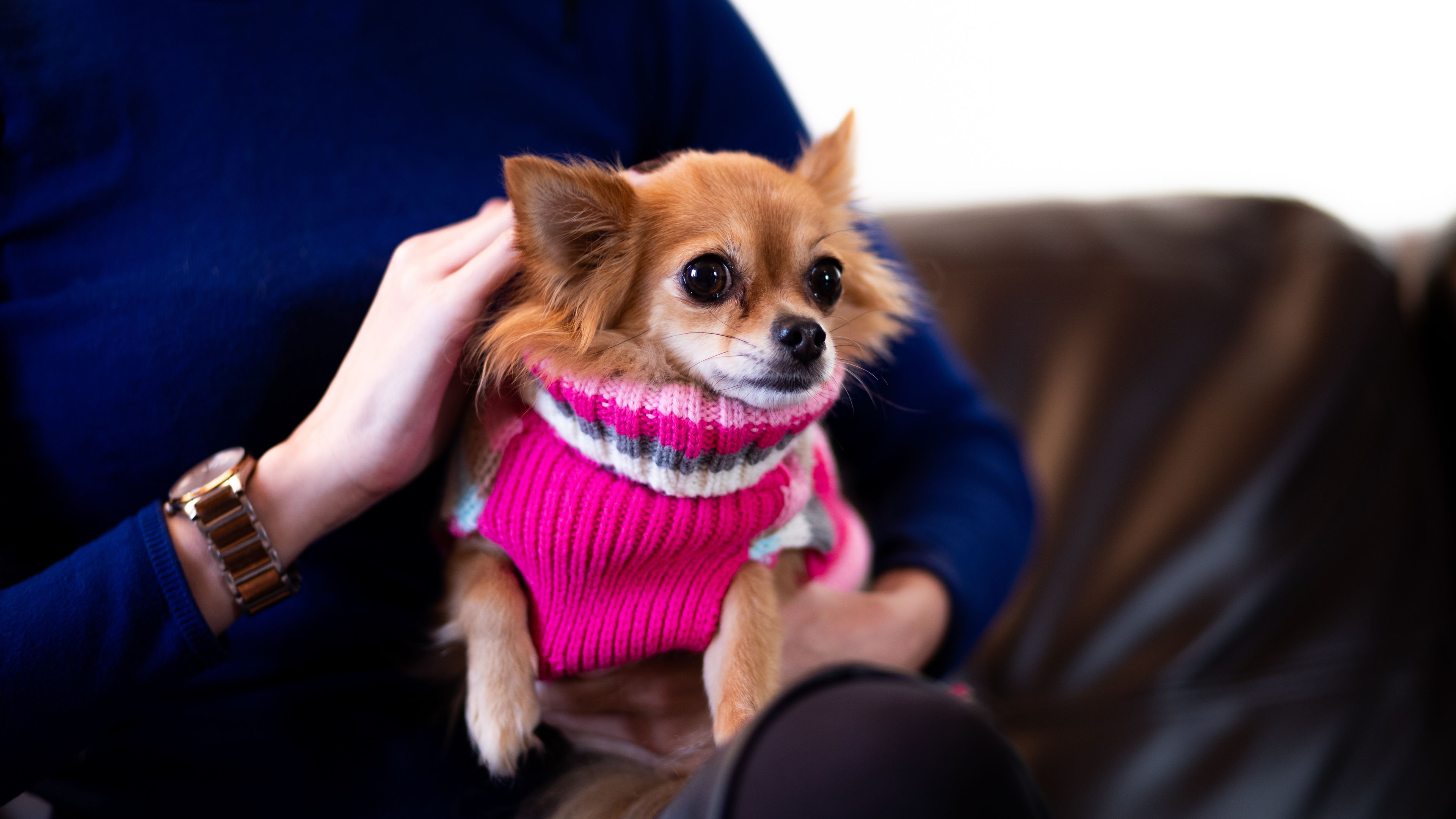 egyptian cotton sheets, blackout curtains, iron/ironing board