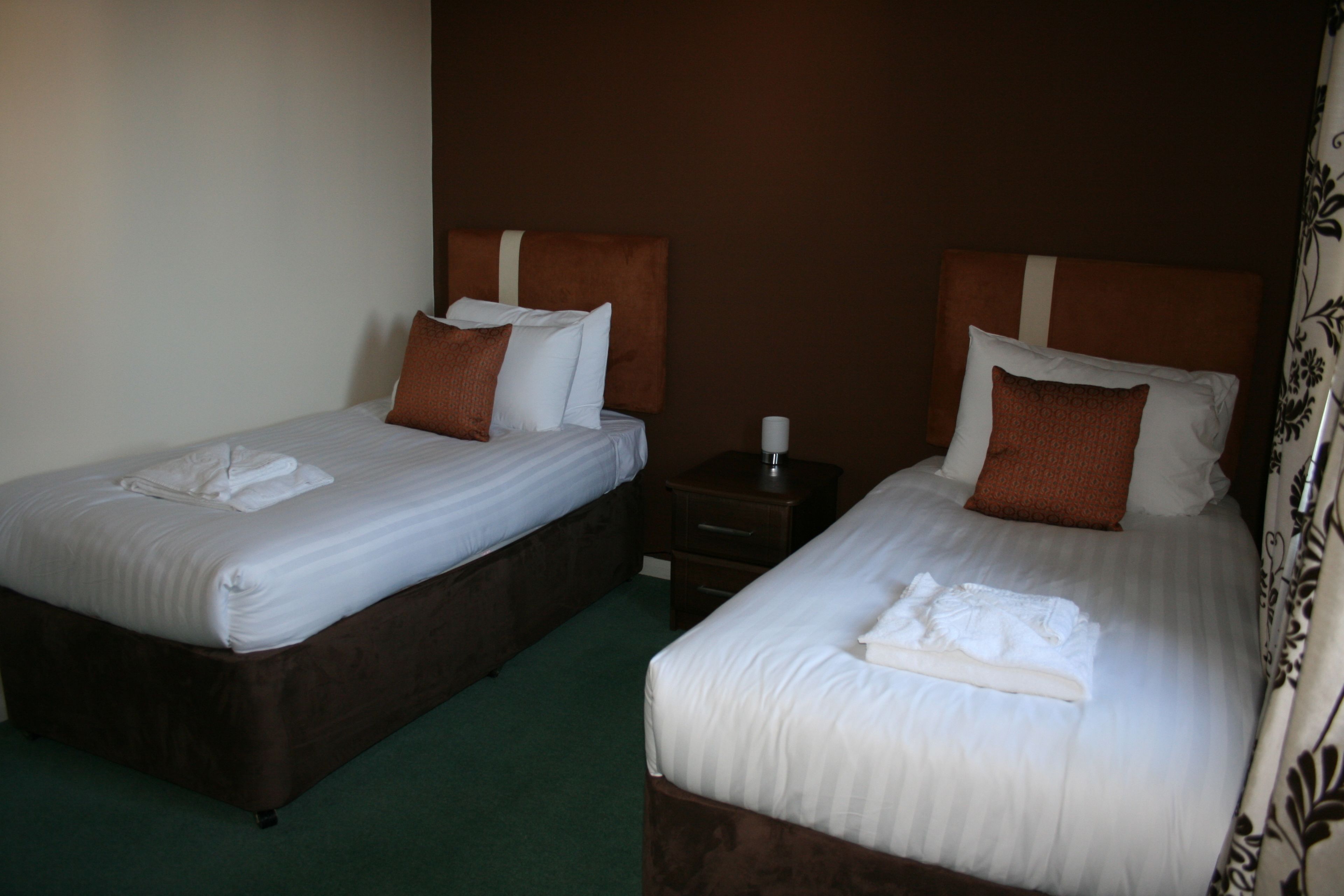 Two twin beds with brown headboards and white bedding, a small bedside table with a lamp, and a green carpet.