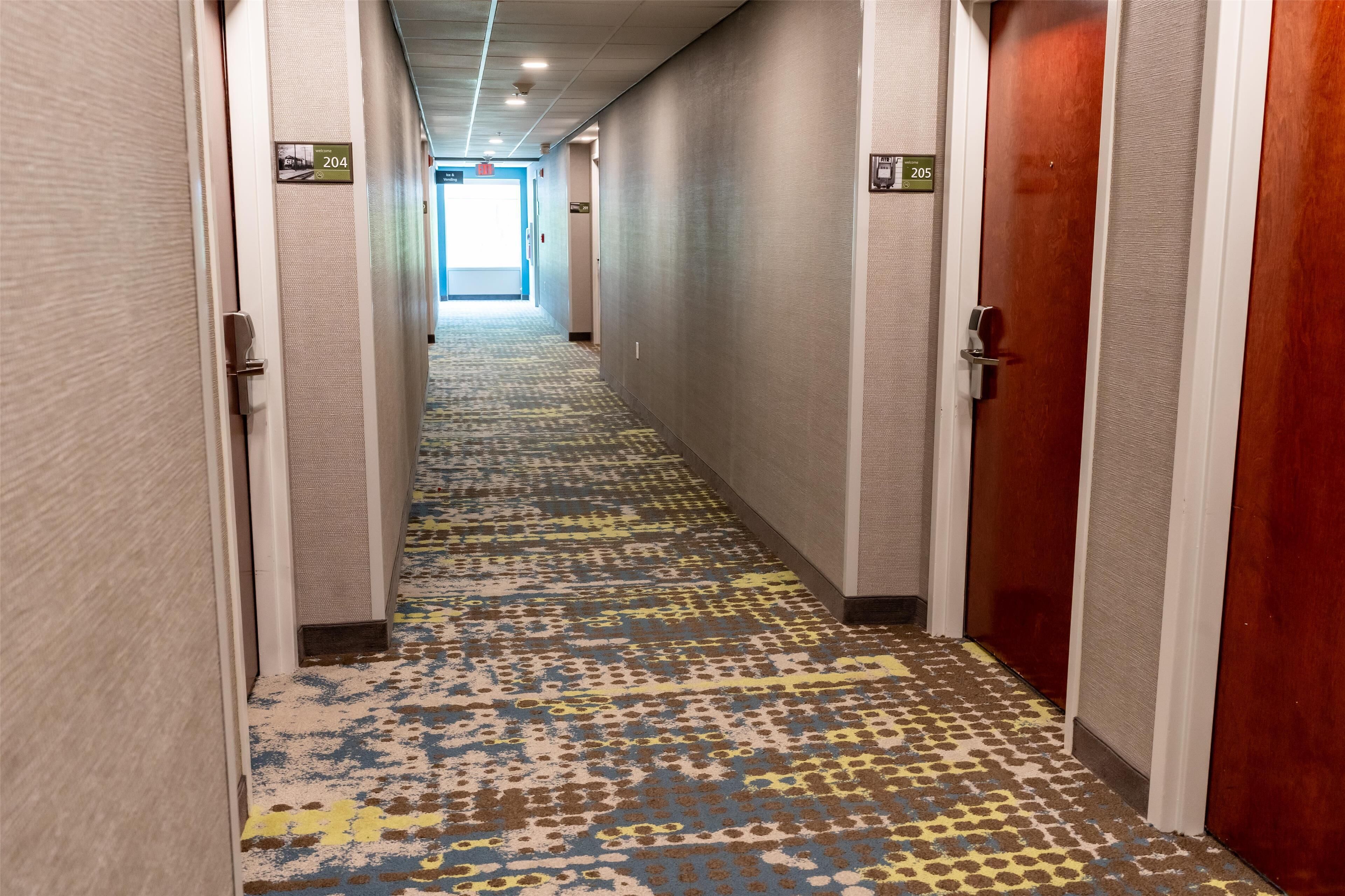 A hotel hallway with carpeted floors, doors on both sides, and a sign indicating room number 204.