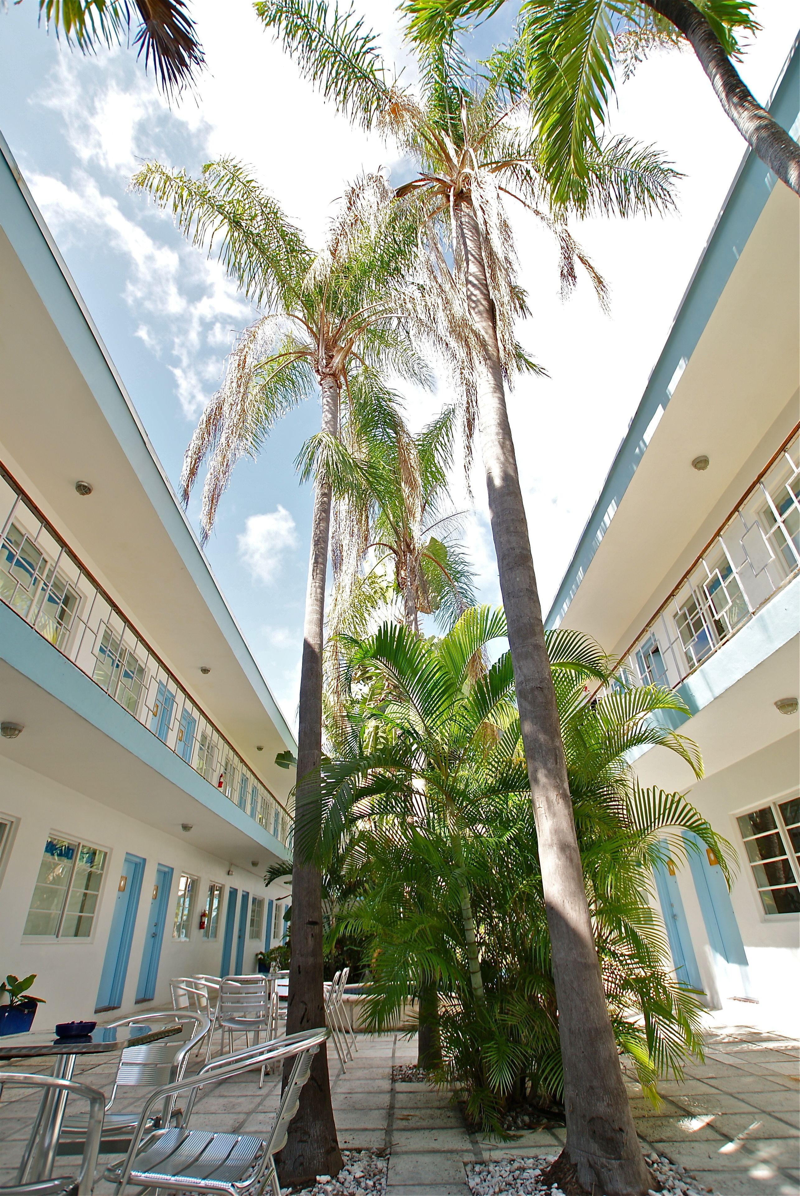 A multi-level atrium with palm trees and outdoor seating.