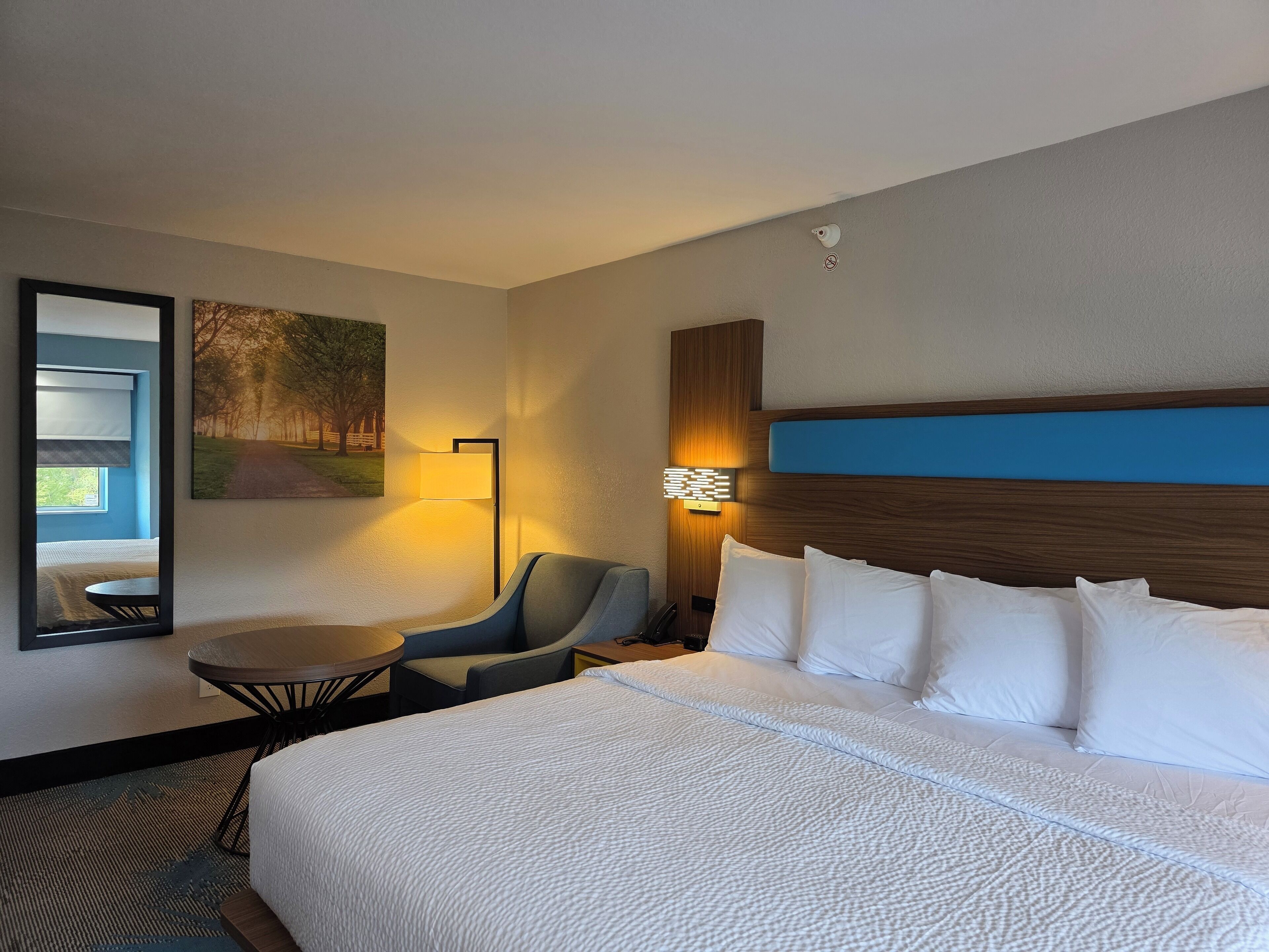 Deluxe Room, 1 King Bed, Non Smoking | Pillowtop beds, desk, iron/ironing board, free WiFi