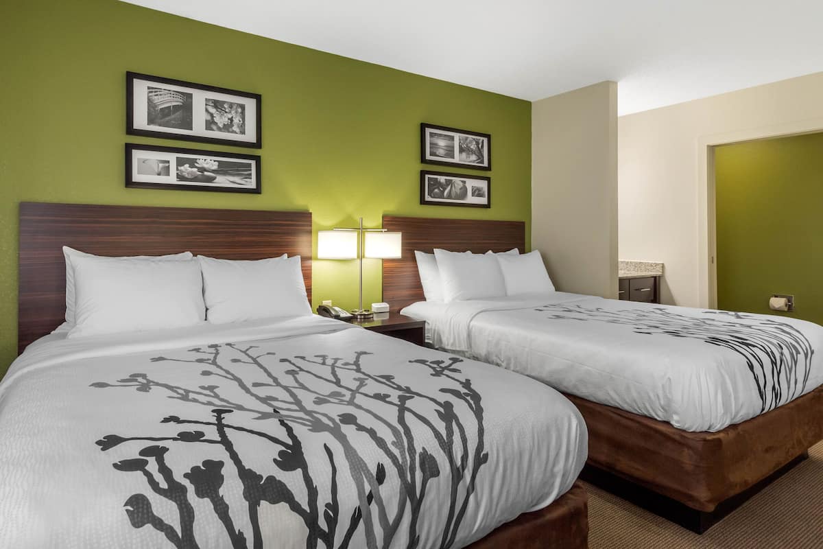 A hotel room with two beds, green walls, framed pictures, and a nightstand with a lamp.