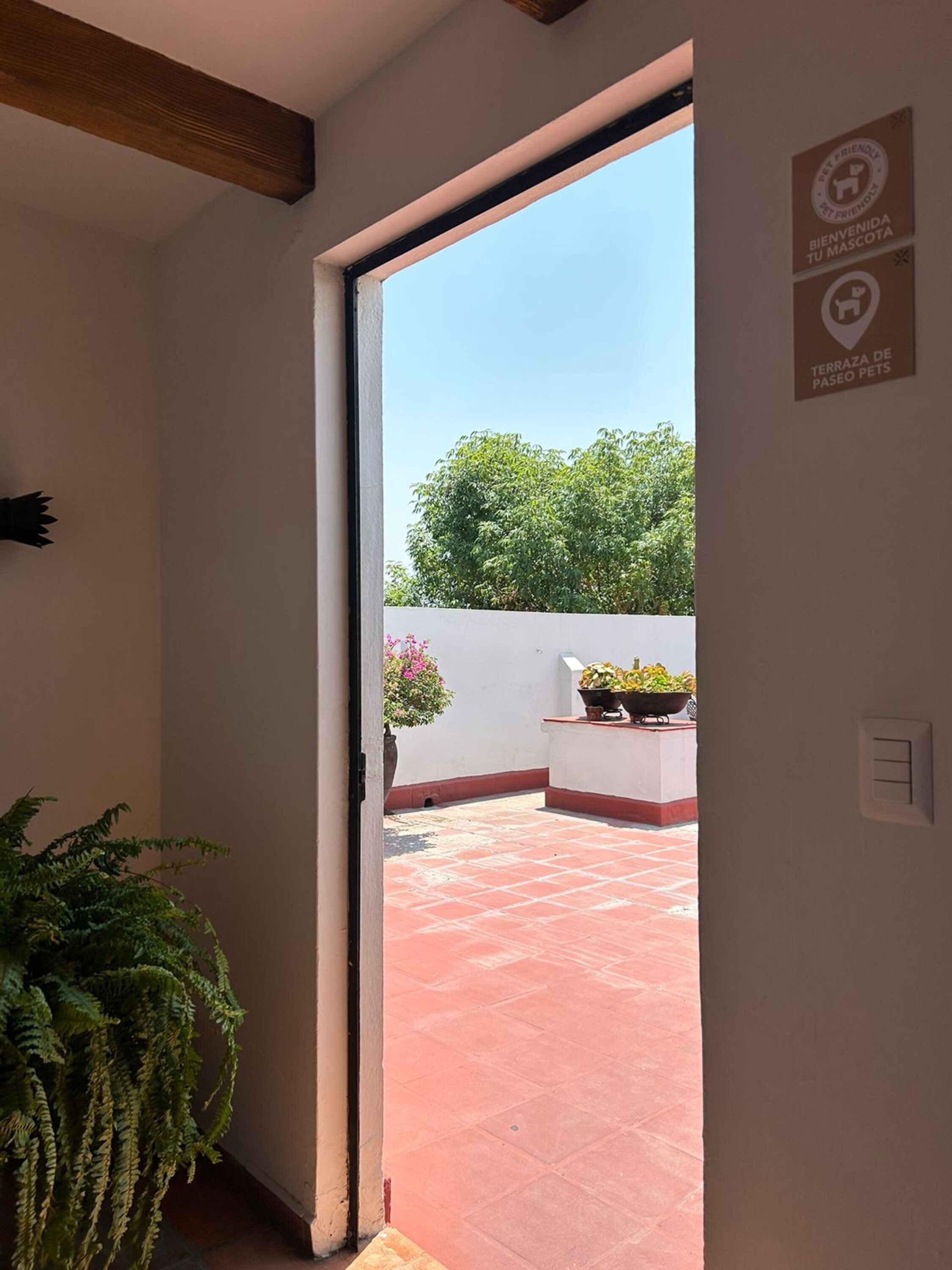An open door leading to a patio with a red tiled floor, a potted plant, and a sign indicating a pet-friendly area.
