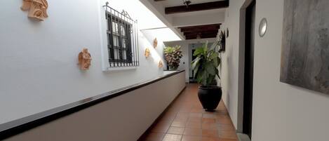 Un pasillo con paredes blancas, piso de baldosas y una planta grande en maceta.