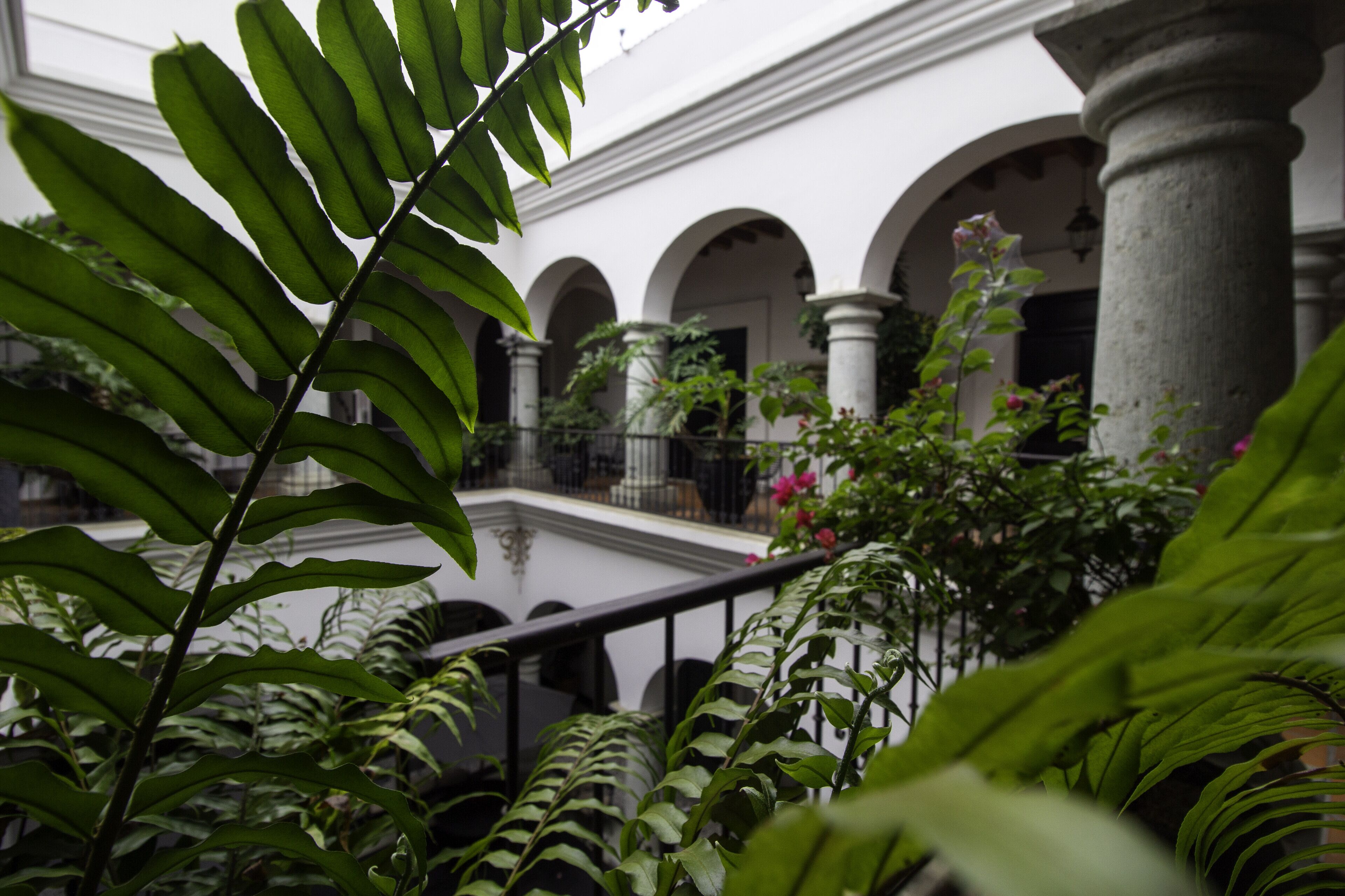 Foto - Hotel Boutique Naura Centro