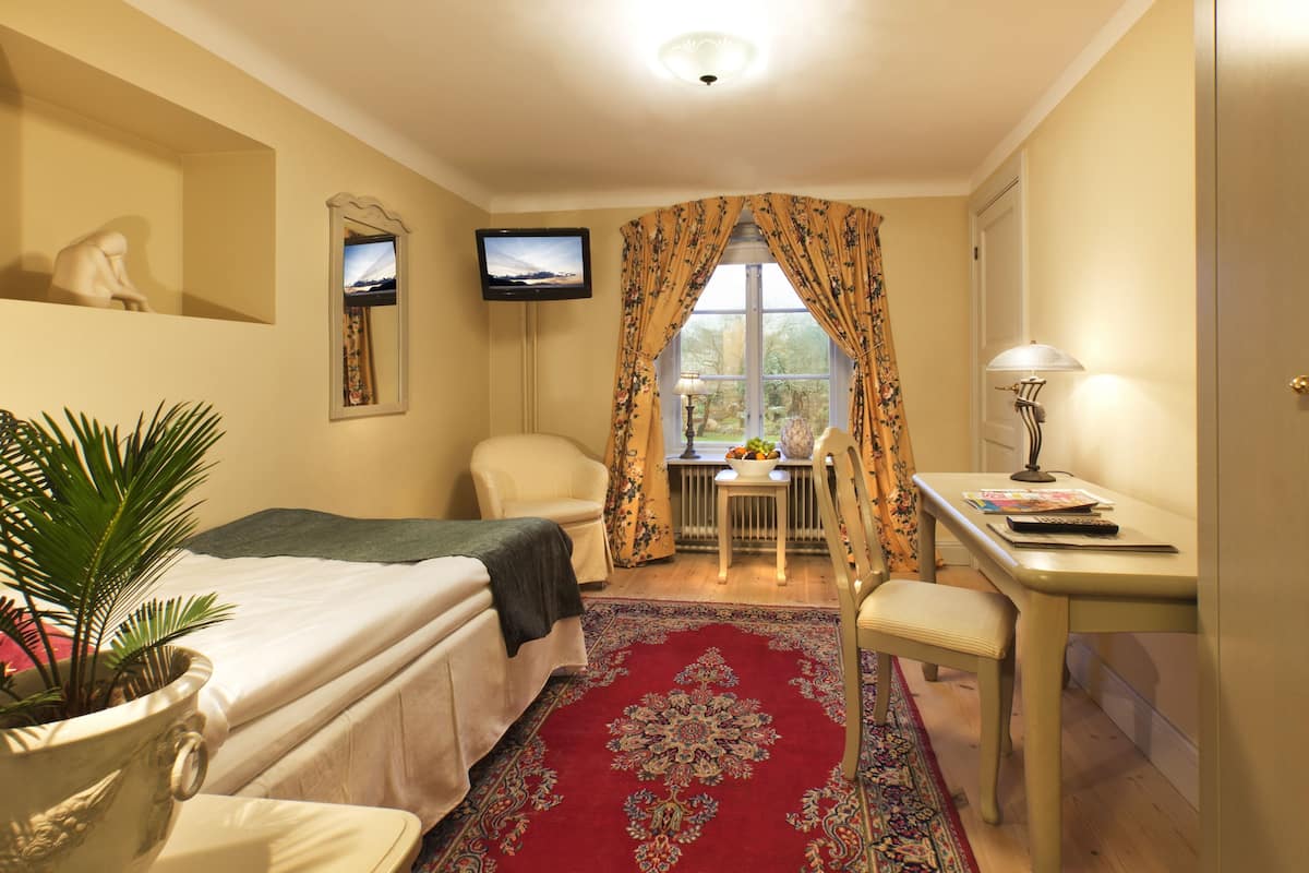 standard single room | individually decorated, individually furnished, desk, iron/ironing board