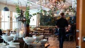 Un comedor interior con mesas y sillas de madera, plantas colgantes e iluminación colgante.