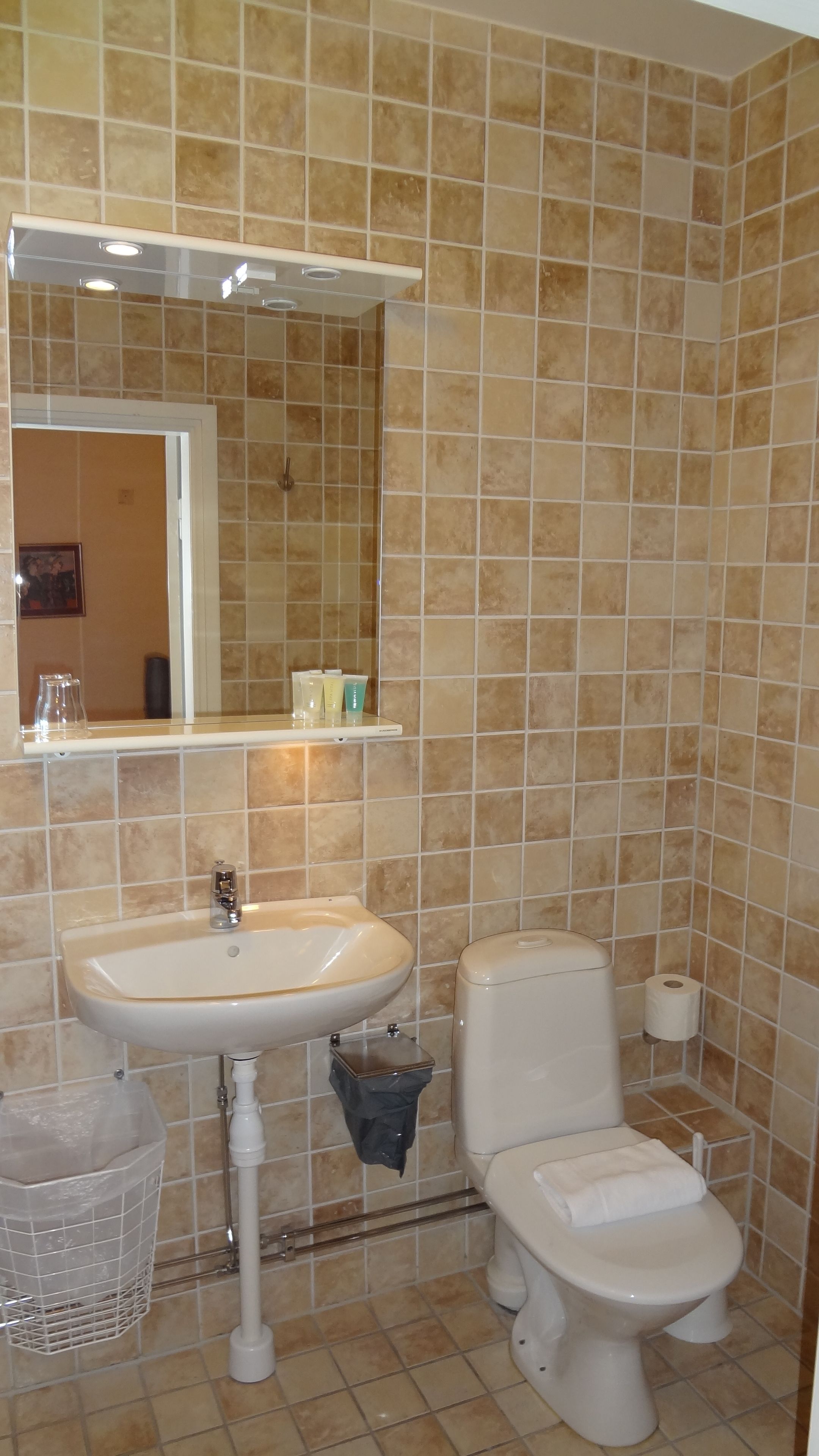 A bathroom with a sink, mirror, toilet, and a trash bin.