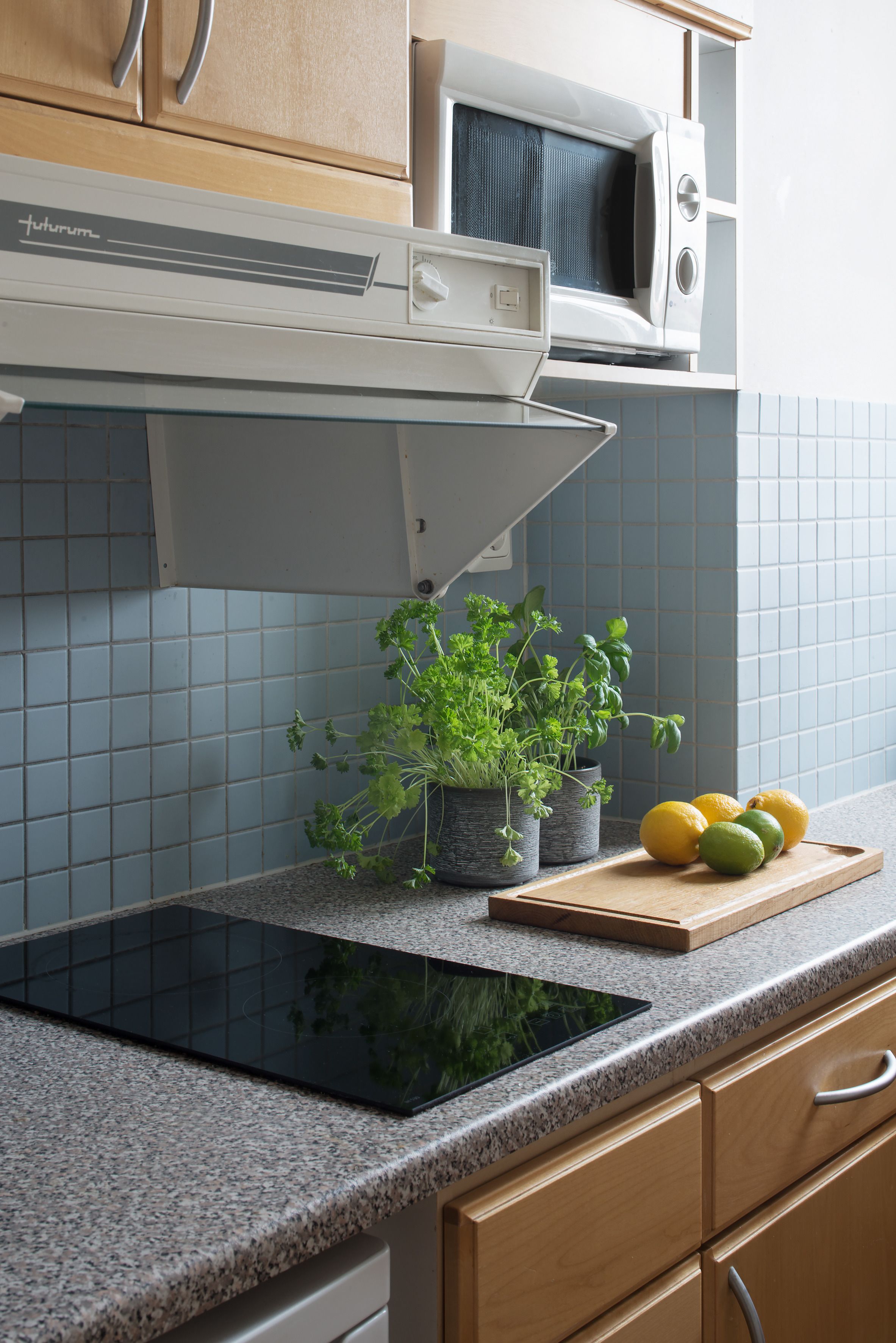 Una cocina con estufa integrada, un microondas y una planta en maceta sobre la encimera.