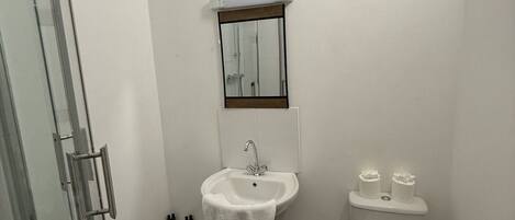 A bathroom with a glass shower enclosure, a white sink with a mirror above it, and a toilet.