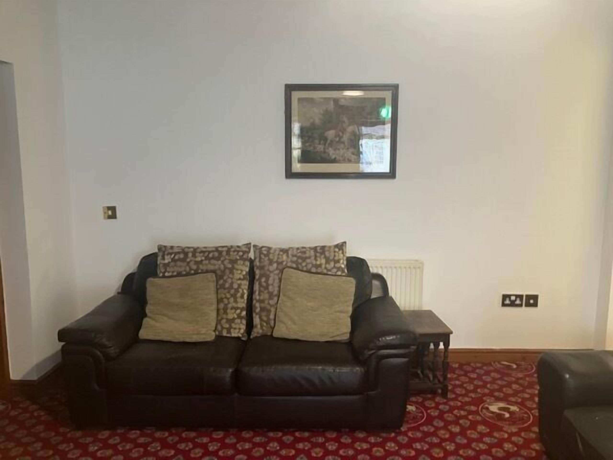 A living room with a black leather sofa, patterned cushions, a framed picture on the wall, a radiator, and a patterned carpet.