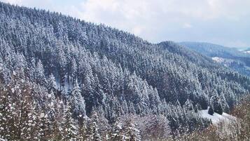 Un paisaje montañoso cubierto de bosque y nieve.