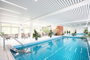 Indoor pool, sun loungers