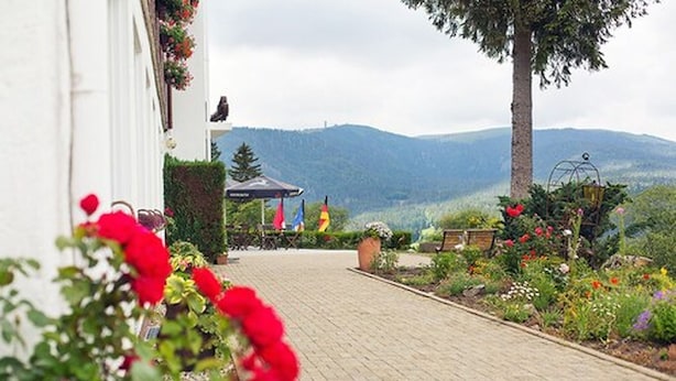 A paved pathway leading to a building with a garden area featuring red flowers and a view of mountains. - Hotel Diana Feldberg (Feldberg)