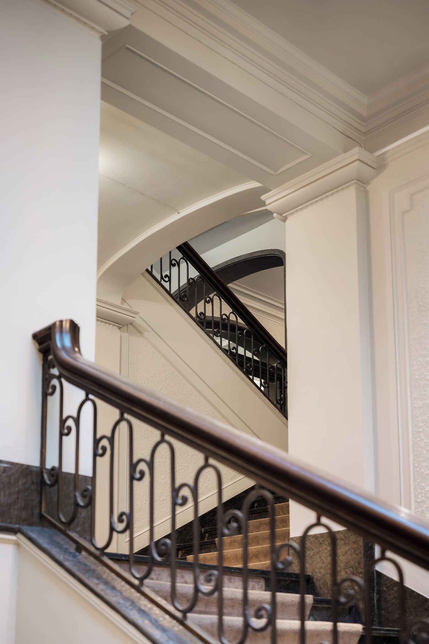A staircase with a black metal railing and beige carpeted steps.