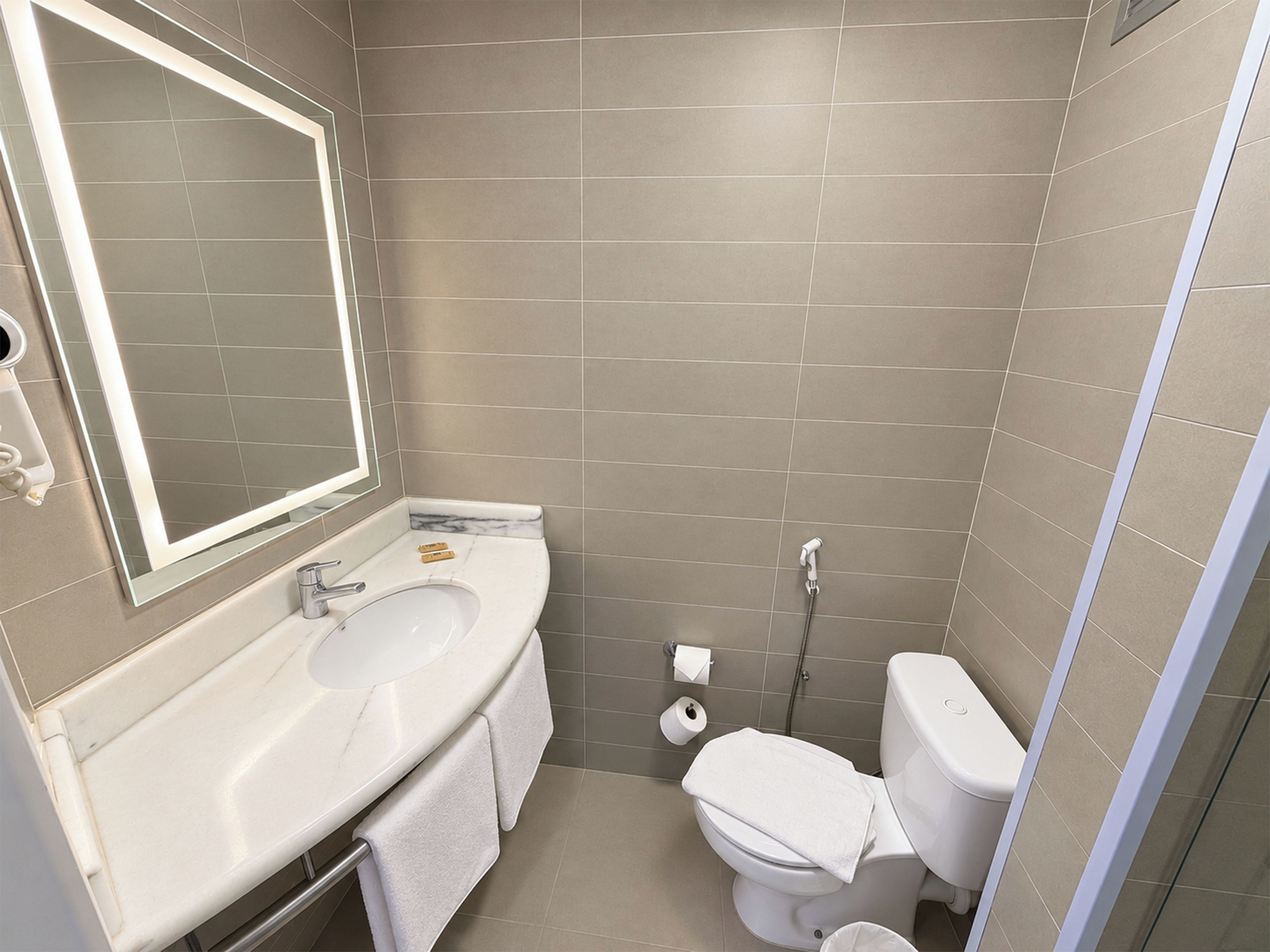 Un baño con lavamanos, espejo, inodoro y ducha.