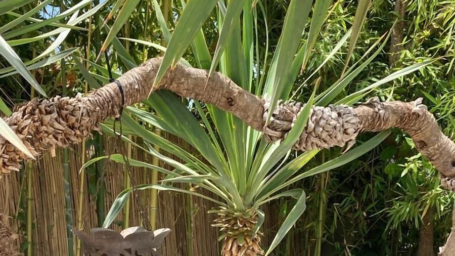 HĂŽtel La Villa Cap dâAntibes