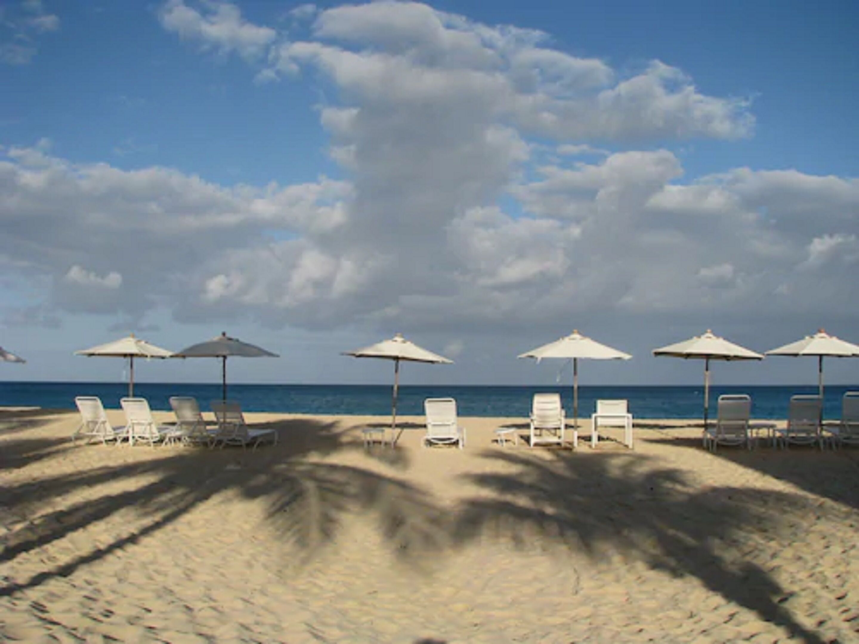A beach with white lounge chairs and umbrellas, a clear sky, and the ocean in the background.
