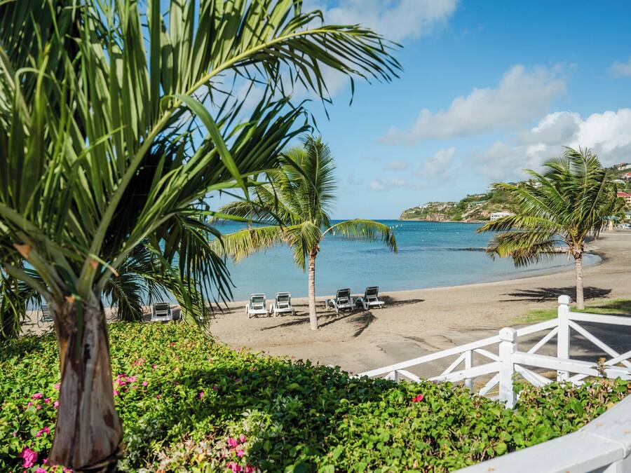 A beach with palm trees, lounge chairs, and a white fence.