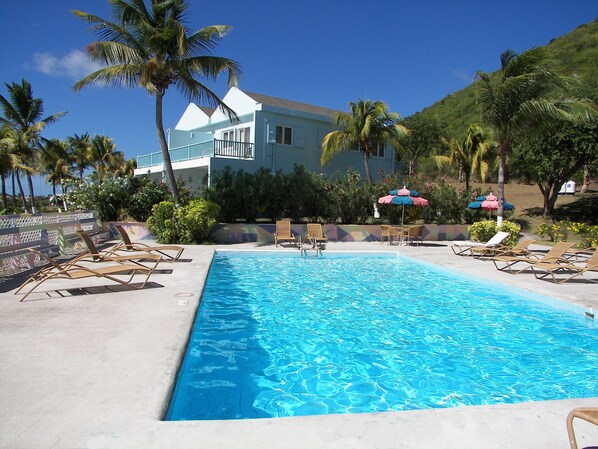 Outdoor pool, pool umbrellas, pool loungers