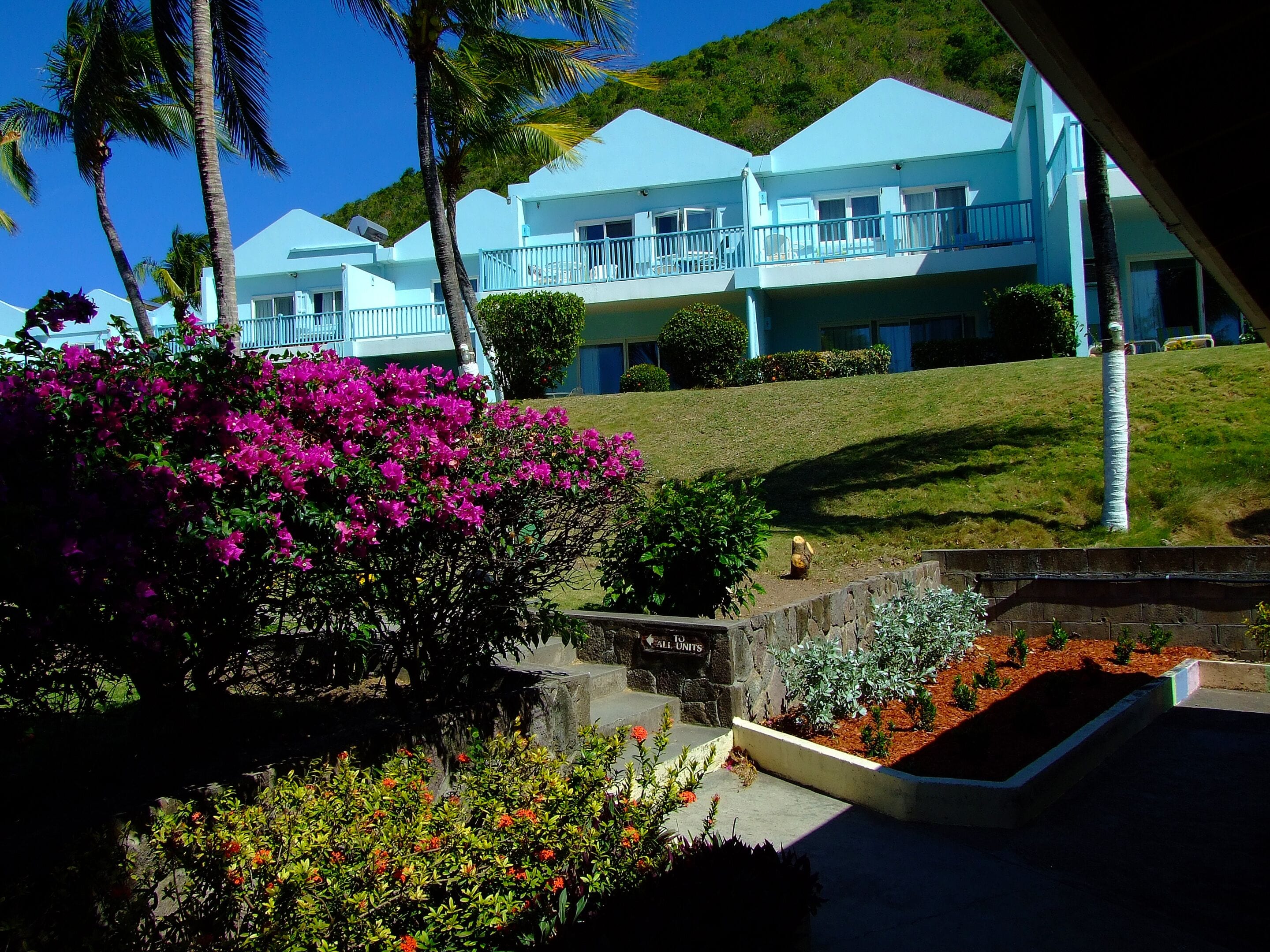 standard room, non-smoking mountain view | view from room