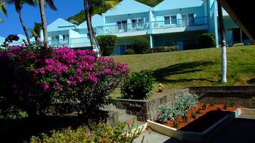Standard Room, Non-Smoking Mountain View | Pemandangan dari kamar