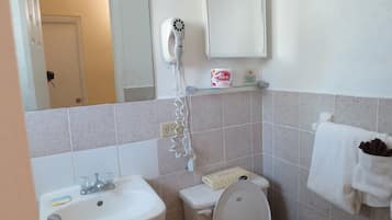 Ein Badezimmer mit Waschbecken, Toilette und einem Fön auf einem an der Wand montierten Regal.