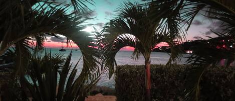 A sunset view through palm leaves, a beach, and boats on the water.