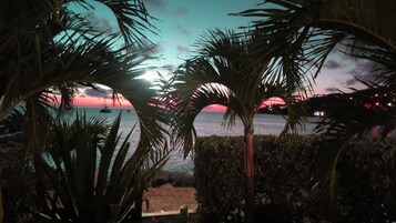 Vista del atardecer entre hojas de palmera, una playa y barcos en el agua.