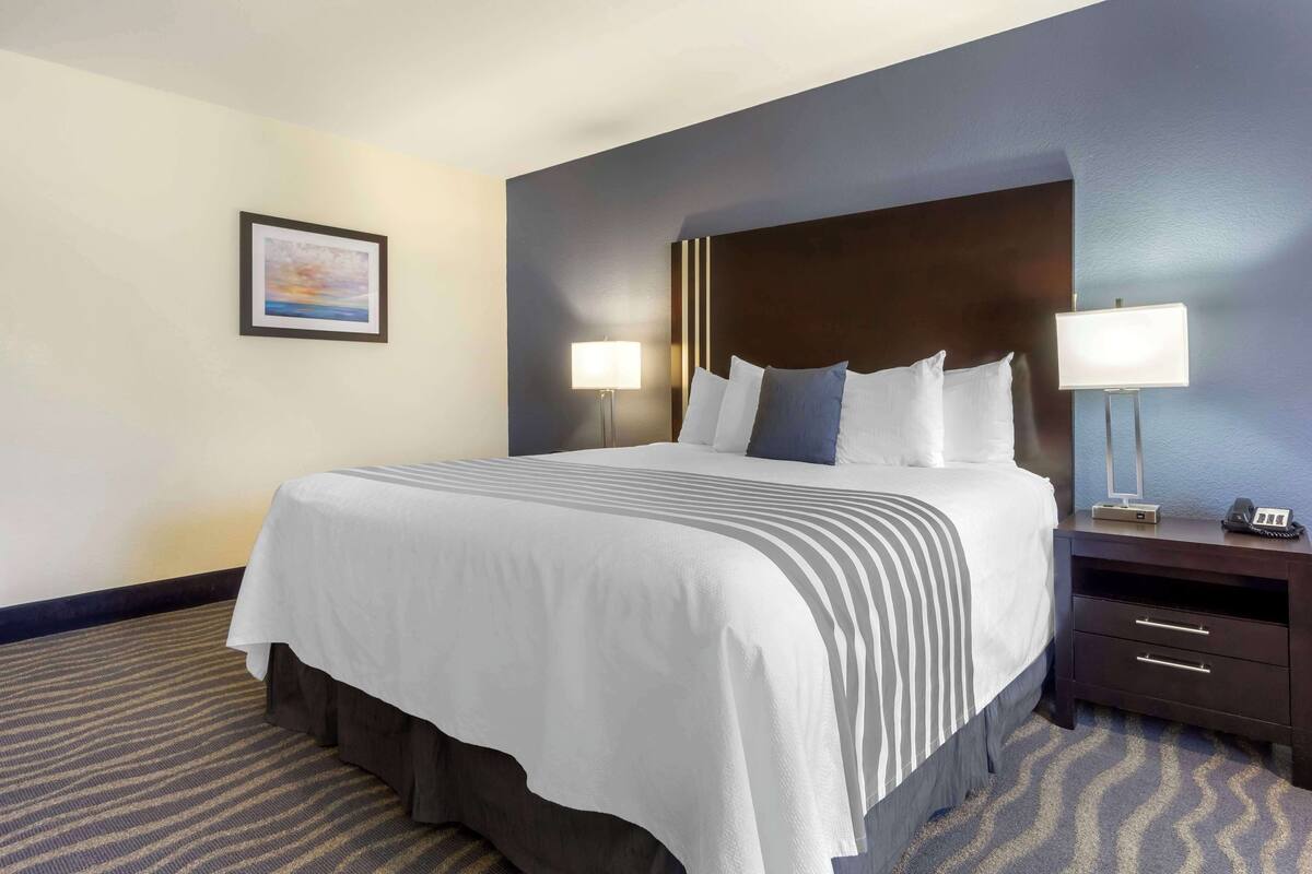 A hotel room with a large bed, two bedside tables with lamps, a framed picture on the wall, and a patterned carpet.