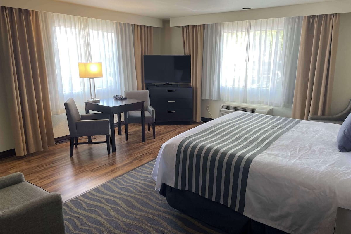 A hotel room with a bed, a desk with a chair, a television, and a window with curtains.