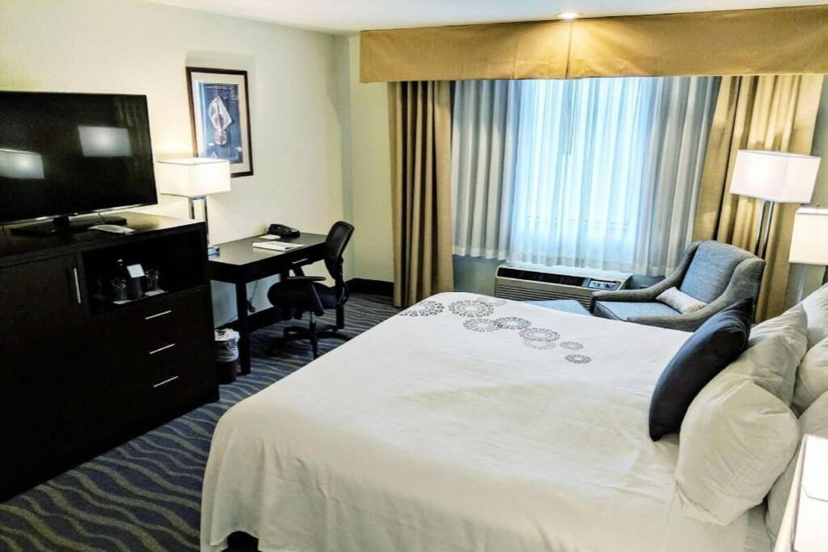 A hotel room with a bed, a desk, a chair, a television, and a window with curtains.