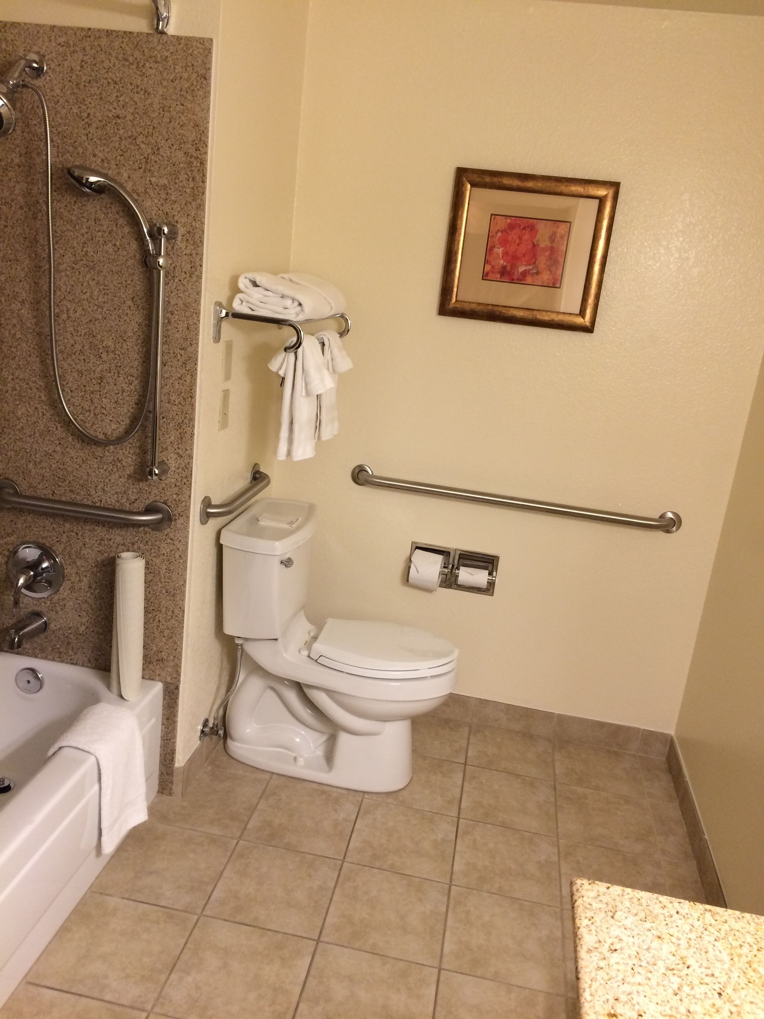 Un baño con inodoro, barras de apoyo, ducha y toallero.