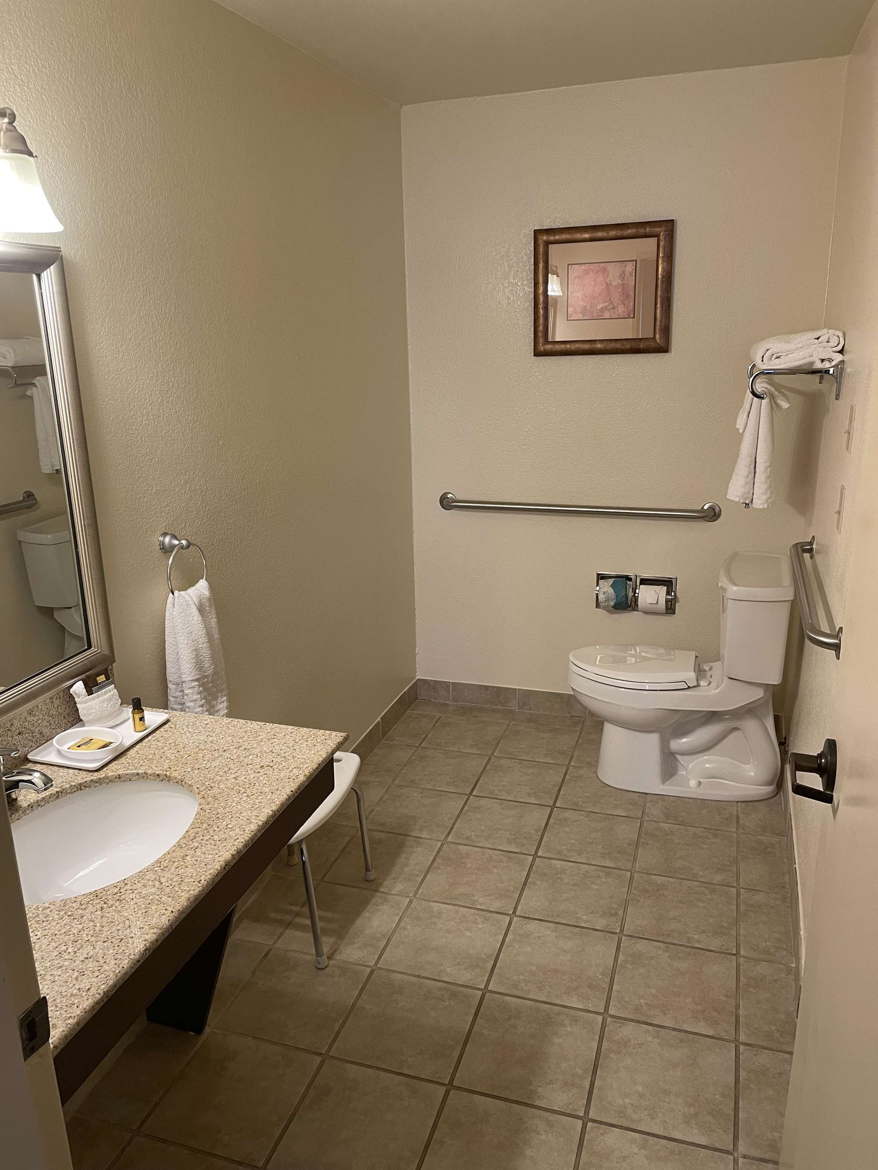 A bathroom with a sink, mirror, toilet, and towel rack.