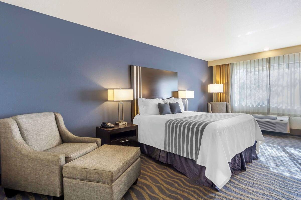 A hotel room with a bed, a chair, a nightstand, and a lamp.