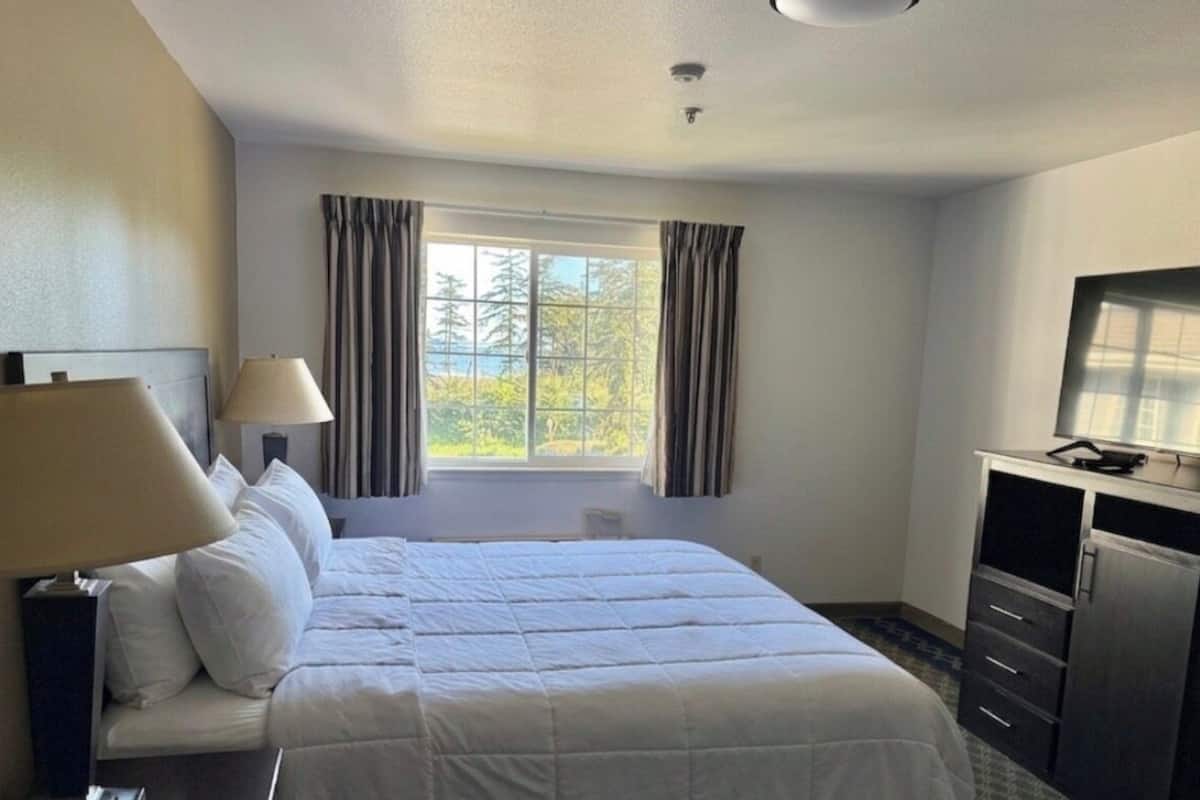 Quarto de hotel com cama, duas luminárias de cabeceira, televisão, janela com cortinas e vista para árvores.
