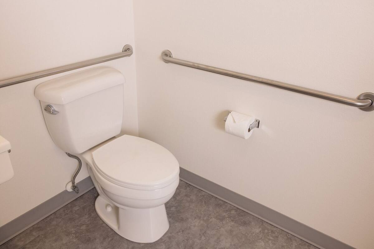 A standard white toilet with a bidet attachment, a toilet paper holder on the wall, and a handrail on the right side.