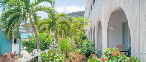 Une cour intérieure agrémentée de palmiers, un sentier et un bâtiment orné d’arcades.
