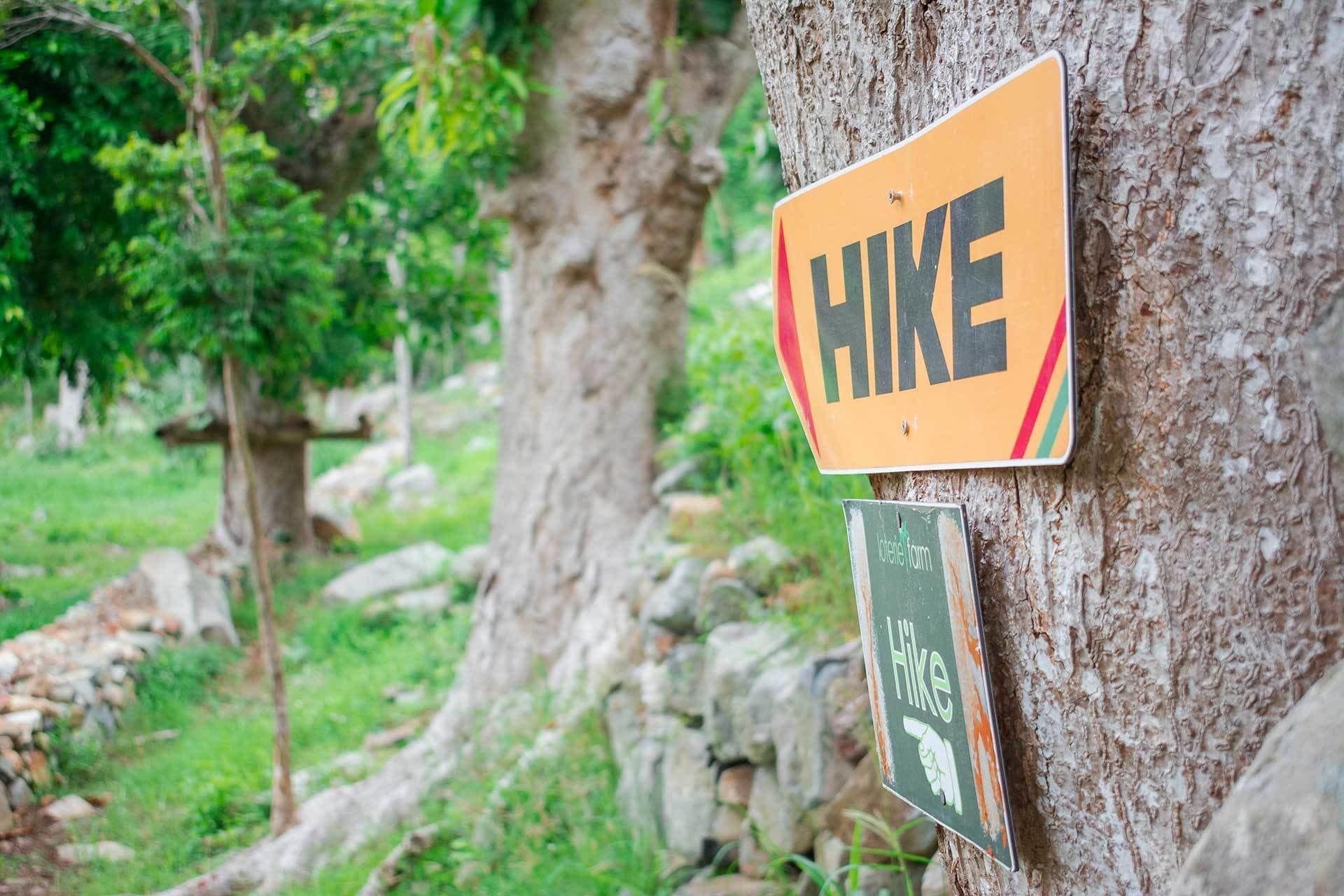 A tree with two signs: one labeled "Hike" and another with a pointing hand symbol.