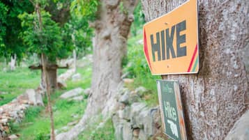 A tree with two signs: one labeled "Hike" and another with a pointing hand symbol.