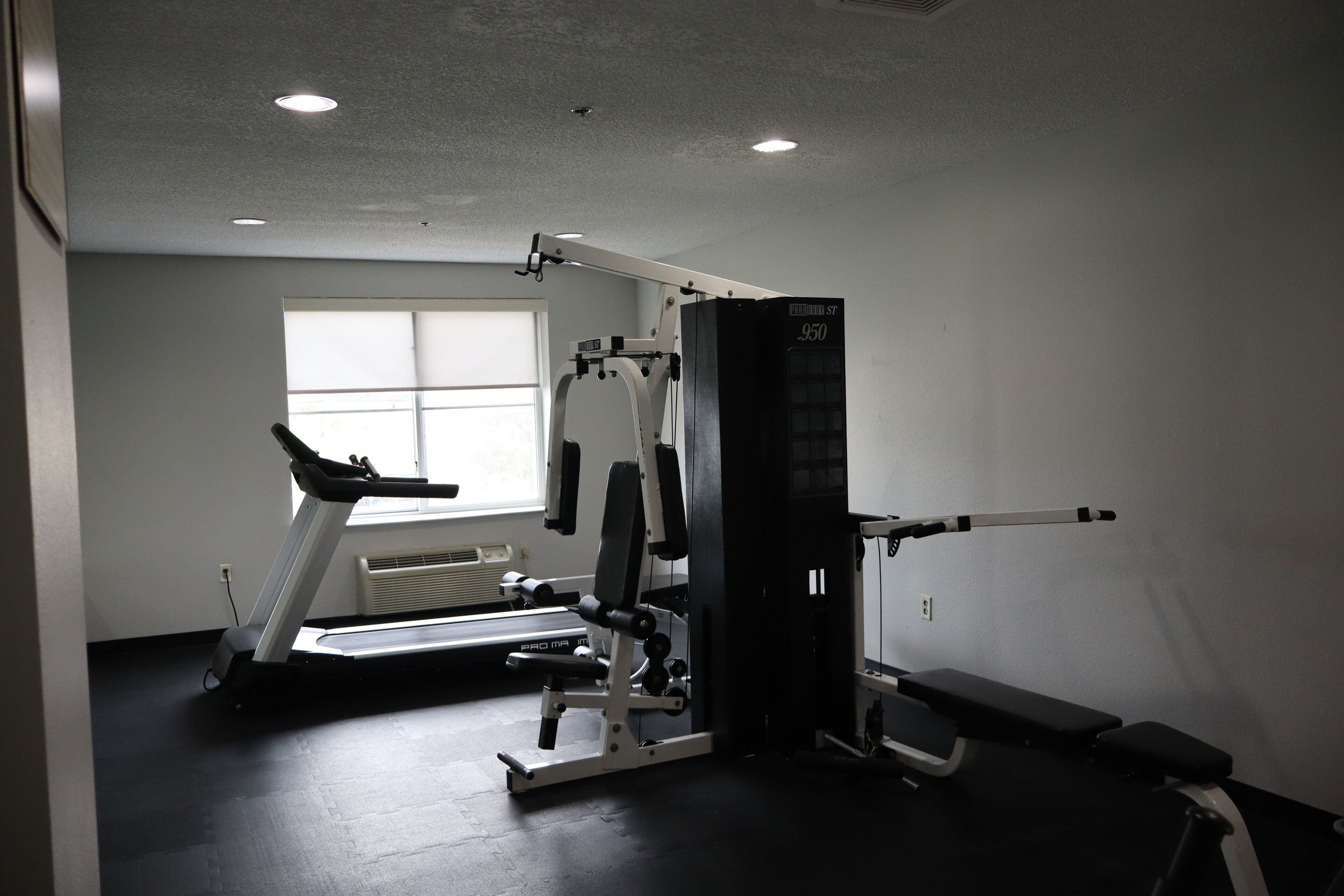 A gym with a treadmill, weight bench, and a squat rack.