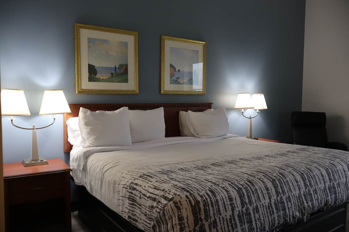 Room, 1 King Bed, Non Smoking, Pool View | Desk, iron/ironing board, free cribs/infant beds, free WiFi