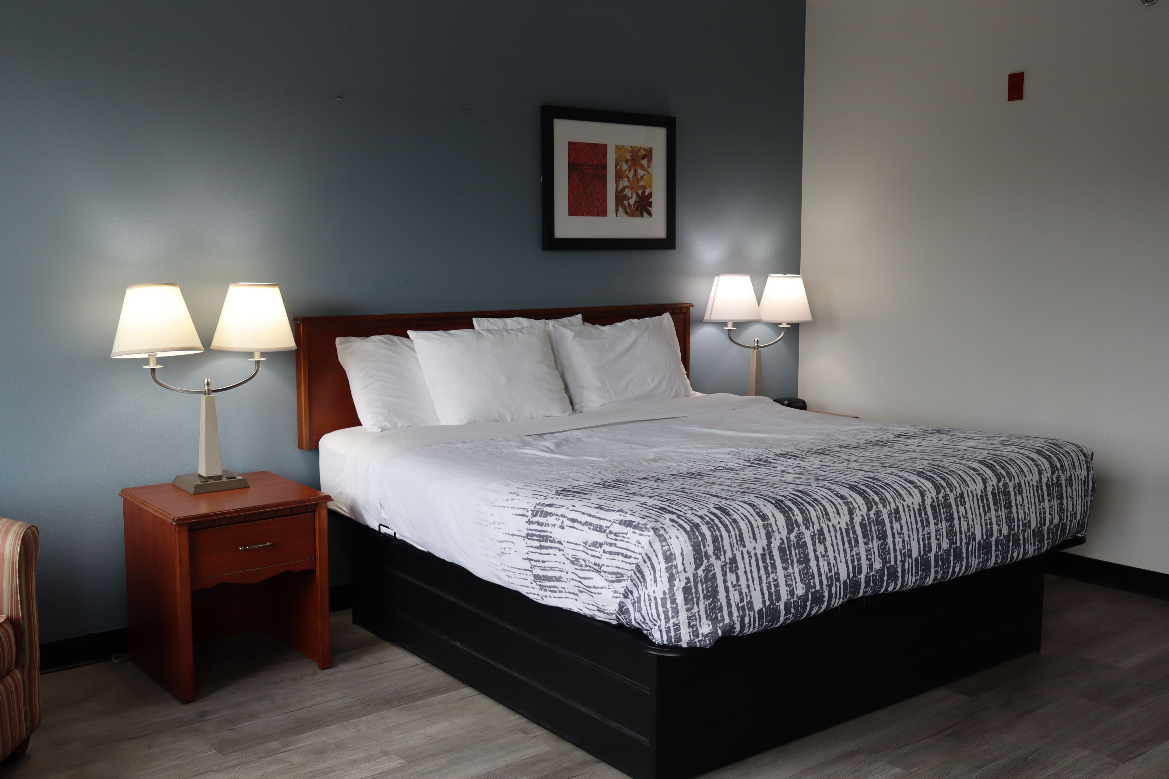 Een netjes opgemaakt bed met een beddengoed met patroon, twee bedlampjes, een ingelijst kunstwerk aan de muur en een nachtkastje van hout met een lade.