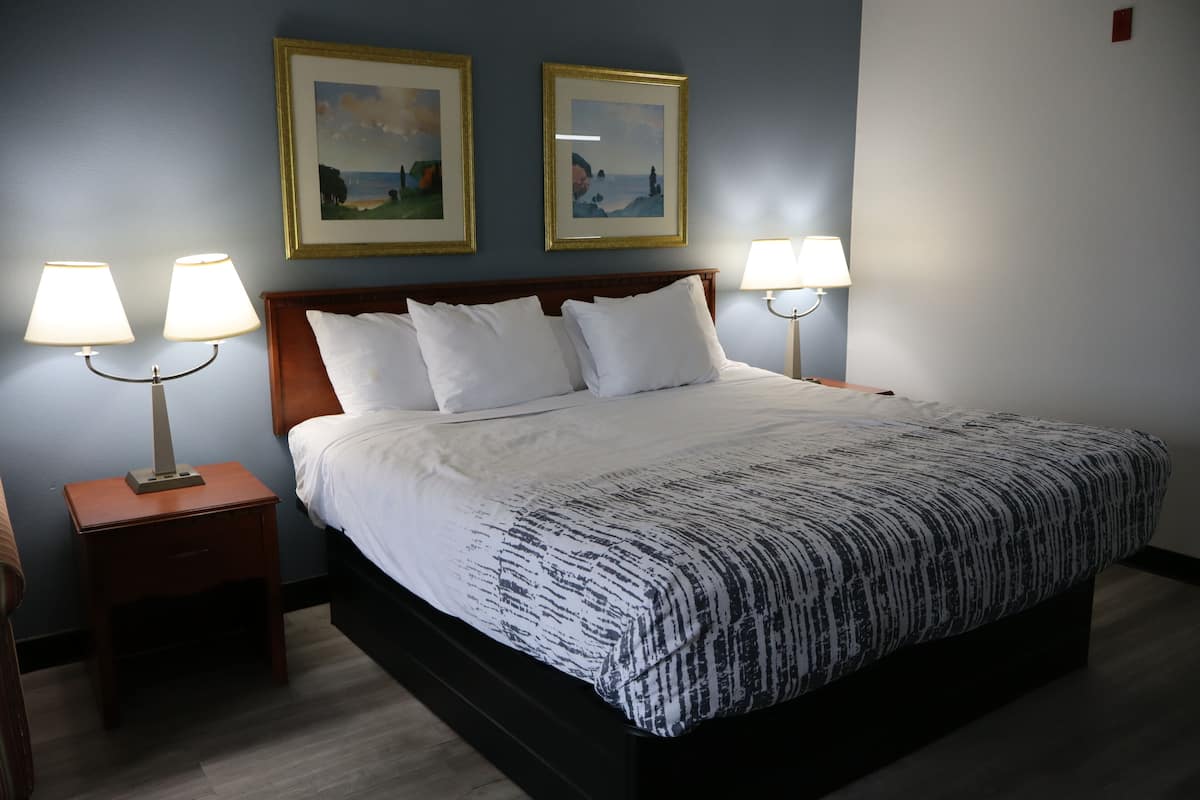 Deluxe Room, 1 King Bed, Non Smoking (Water) | Desk, iron/ironing board, free cribs/infant beds, free WiFi