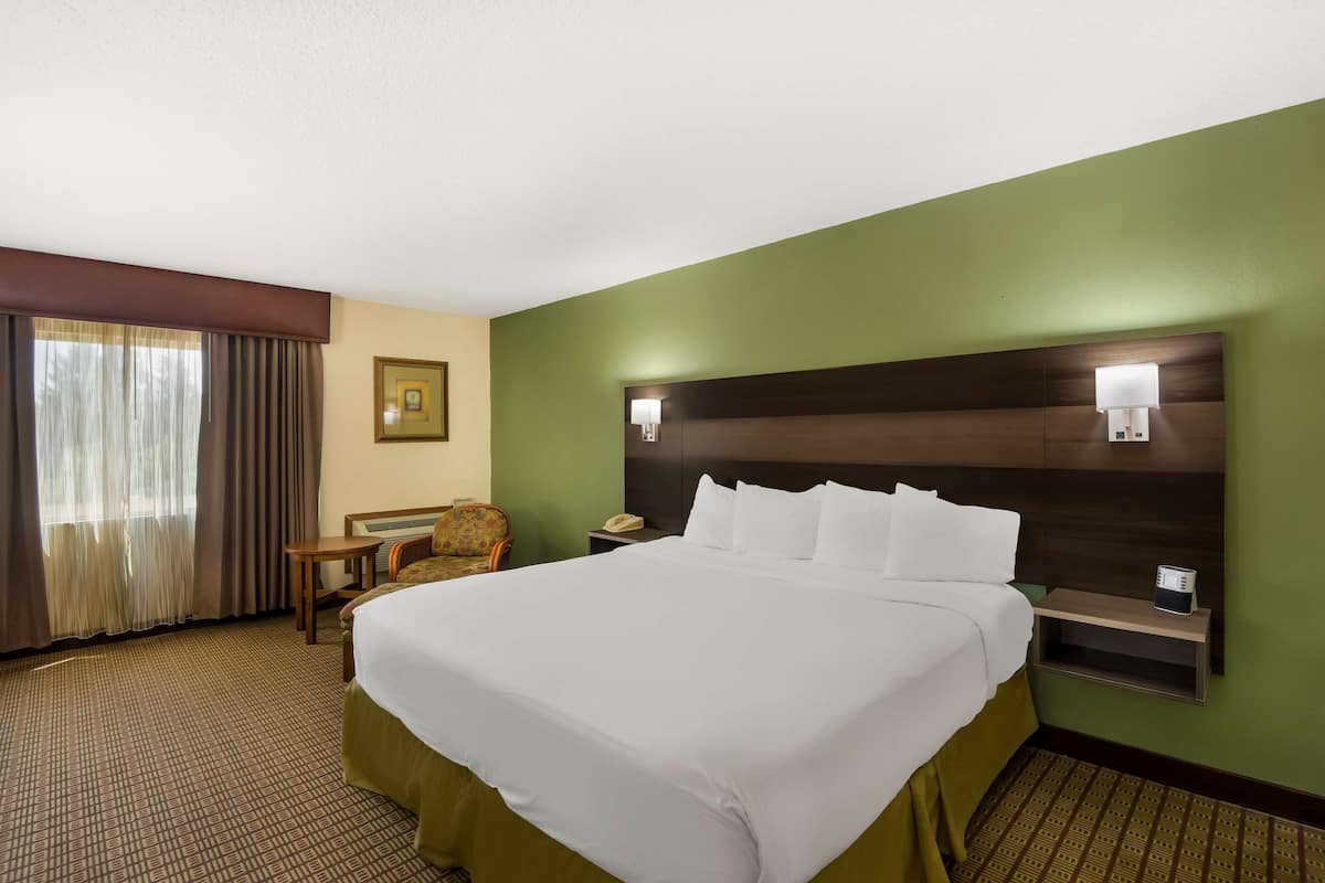 A hotel room with a large bed, a nightstand, a chair, a desk, and a picture on the wall.