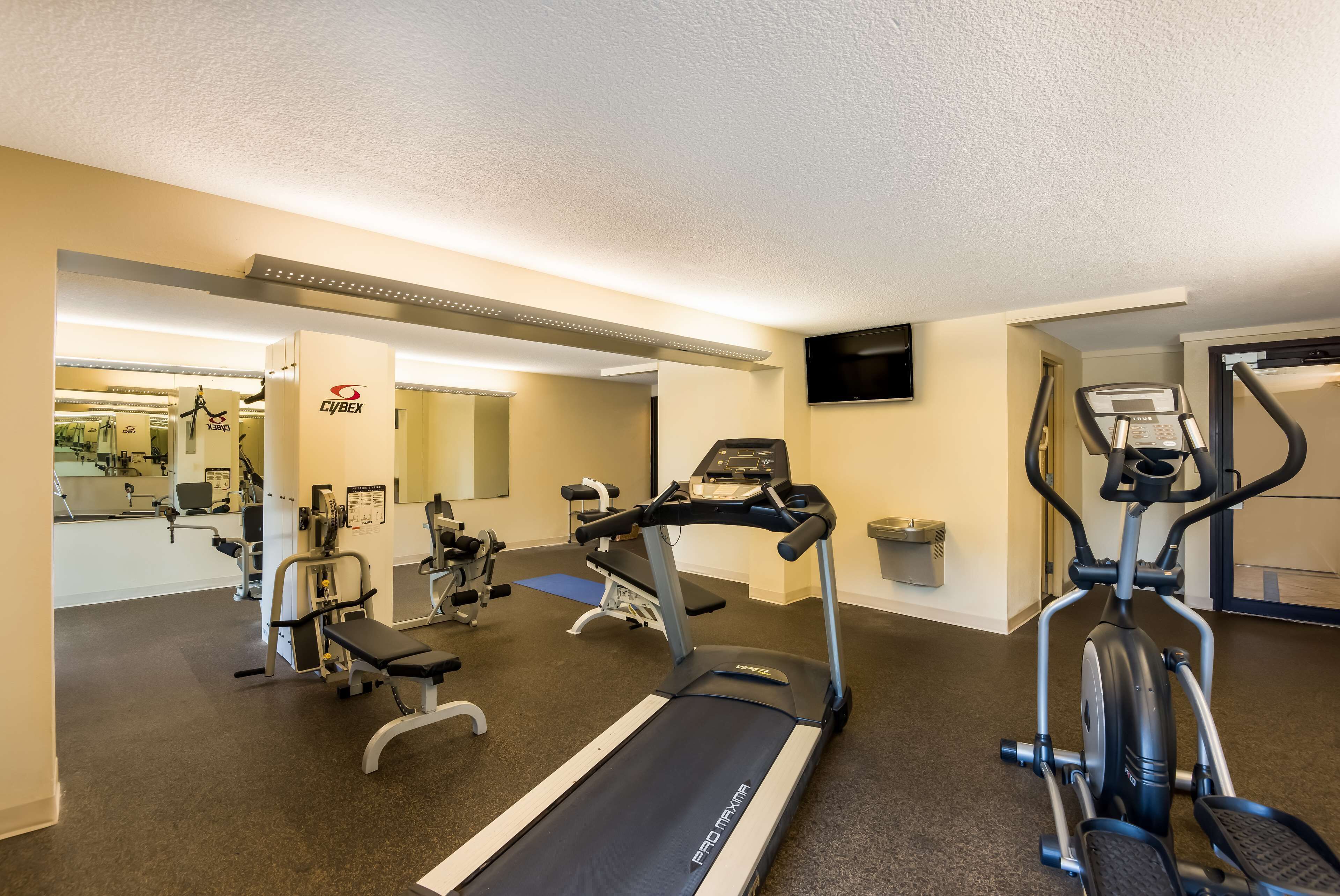 Une salle de sport équipée de machines de cardio, de poids et d’un miroir.