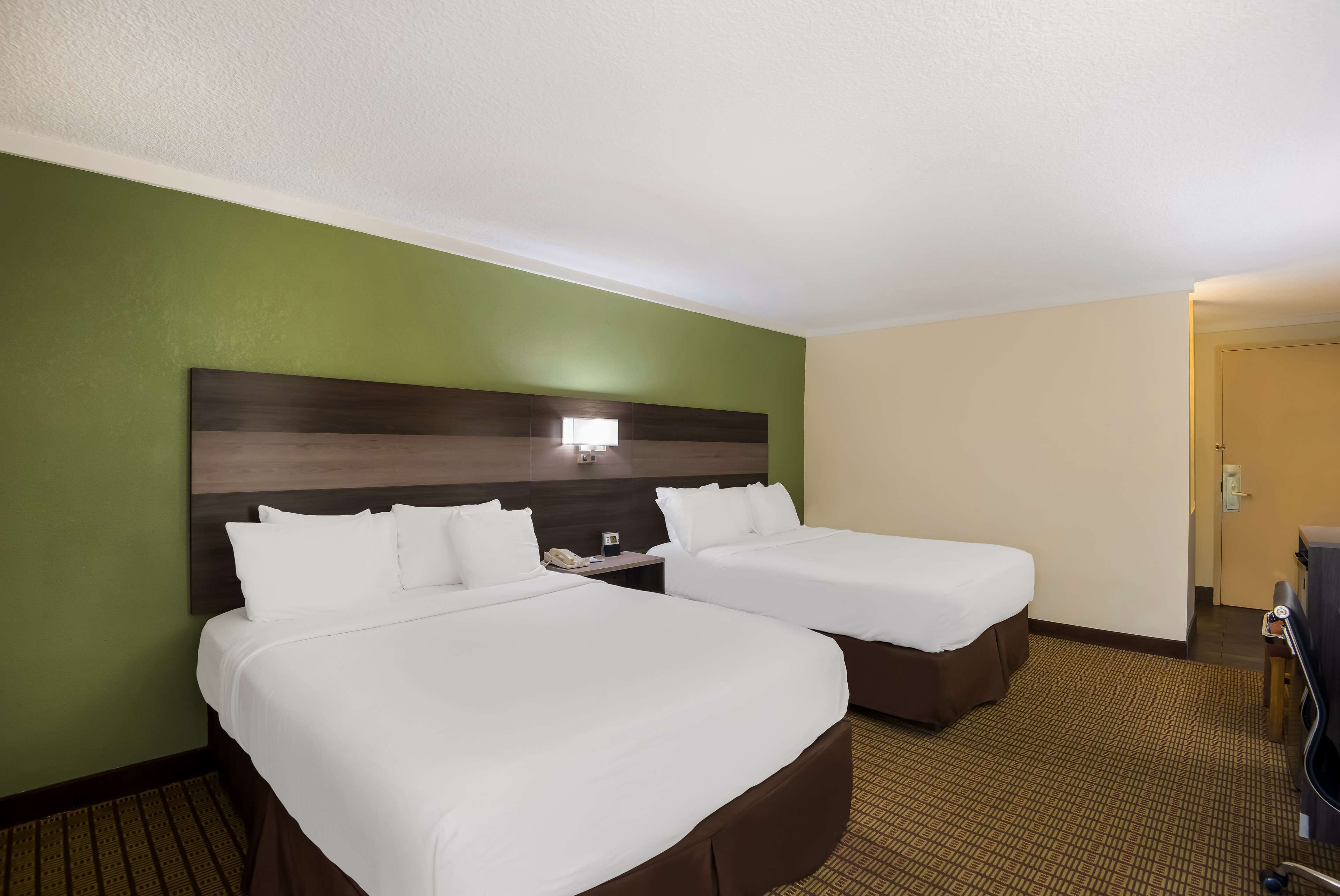 Habitación de hotel con dos camas, cabecera con luz y suelo alfombrado.