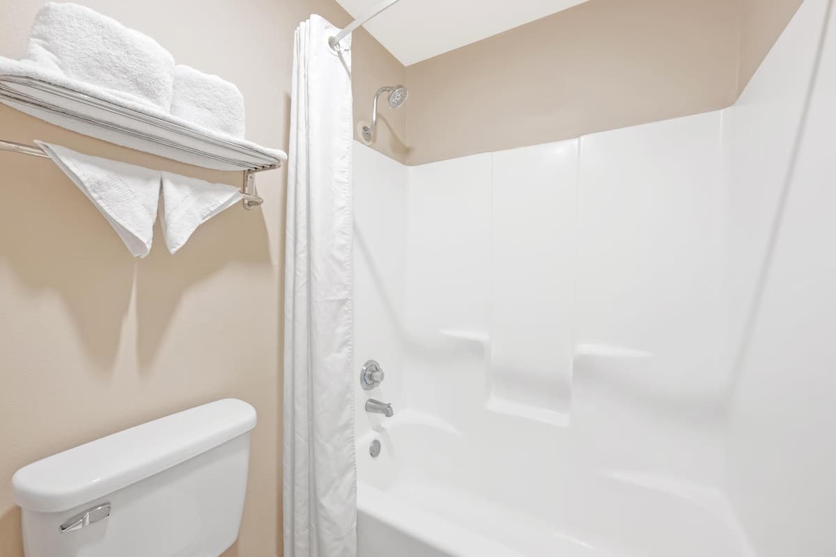 combined shower/bathtub, free toiletries, hair dryer, towels