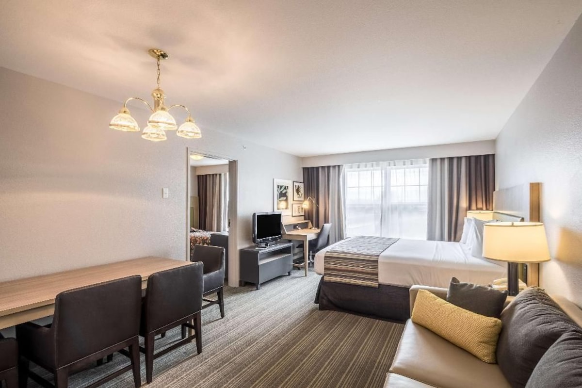 A hotel room with a bed, a desk, a chair, a television, and a lamp.